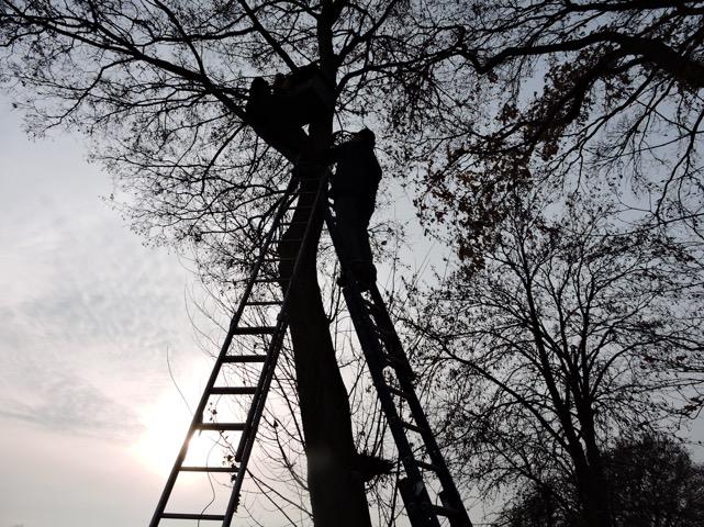 Plaatsing camera - Jannes en Albert met hun trapezewerk, foto Goen Jansen