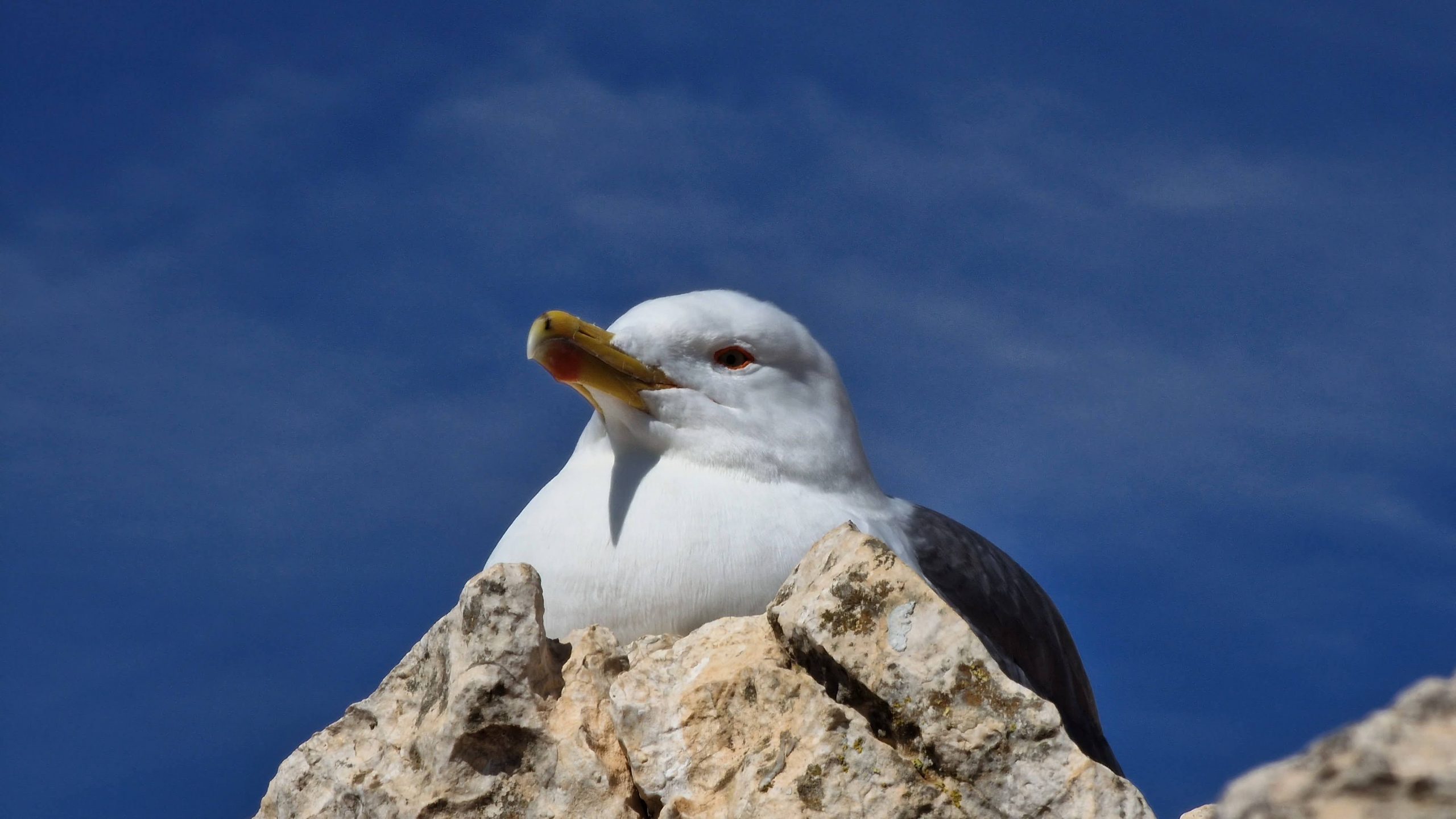 Testafbeelding om rechten voor verwijderen te bekijken