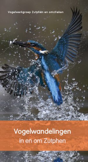 Omslag boek Vogelwandelingen